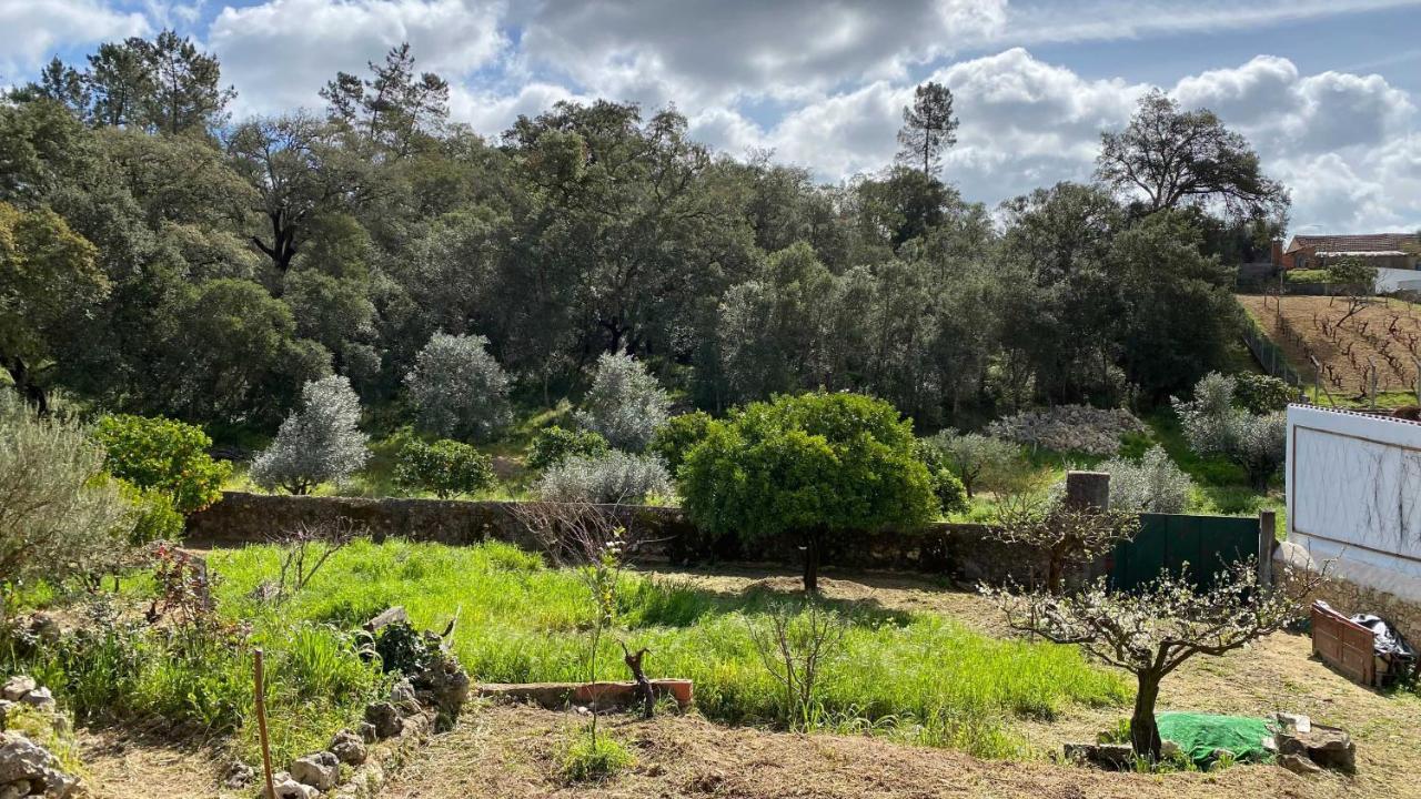 Casalinho In Portugal Country House โตมาร์ ภายนอก รูปภาพ